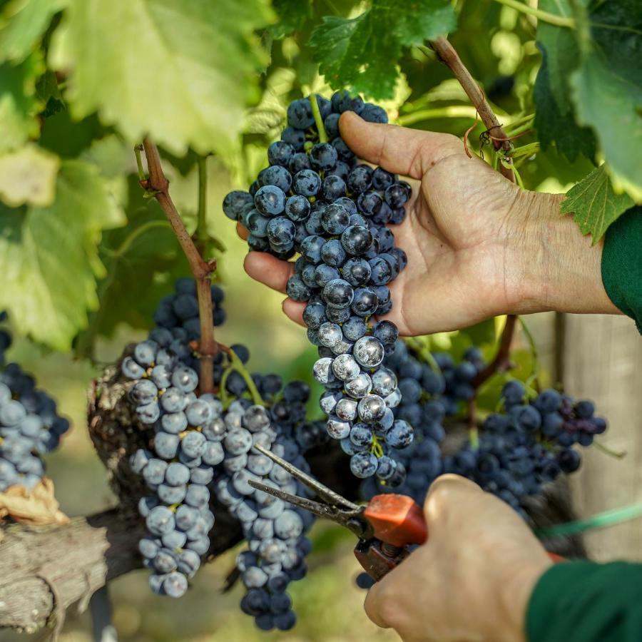 Il Borro Relais & Chateaux San Giustino Valdarno